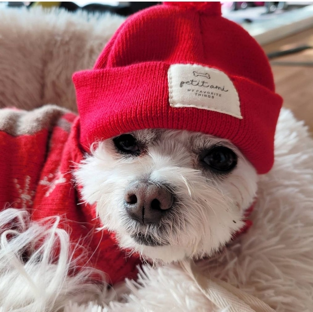 Red Beanie with Chin Strap